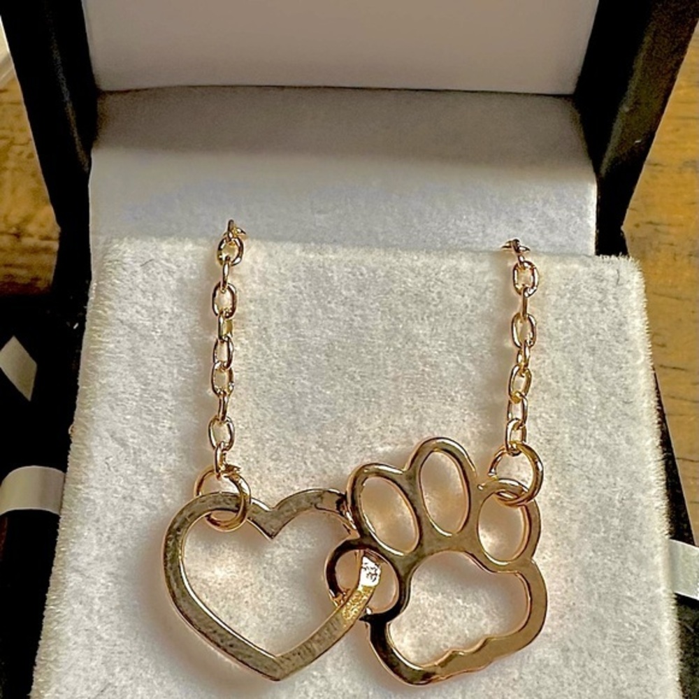 🌸LAST! Rae Dunn Forever In My Heart 14k gold plated necklace. New gift box